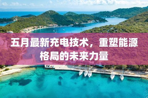 五月最新充電技術(shù)，重塑能源格局的未來(lái)力量