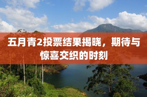 五月青2投票結(jié)果揭曉，期待與驚喜交織的時(shí)刻