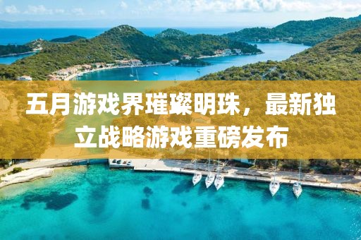 五月游戲界璀璨明珠，最新獨(dú)立戰(zhàn)略游戲重磅發(fā)布
