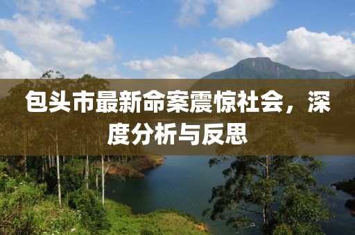 包頭市最新命案震驚社會(huì)，深度分析與反思