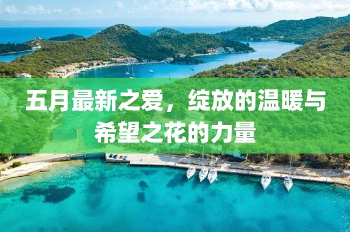 五月最新之愛(ài)，綻放的溫暖與希望之花的力量