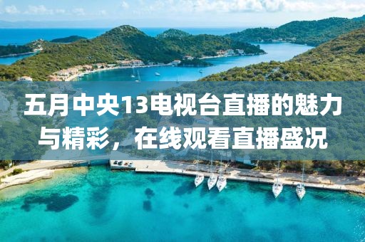 五月中央13電視臺(tái)直播的魅力與精彩，在線觀看直播盛況