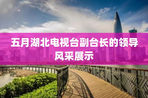 五月湖北電視臺(tái)副臺(tái)長(zhǎng)的領(lǐng)導(dǎo)風(fēng)采展示