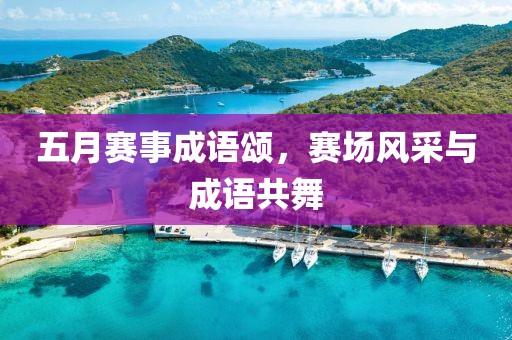 五月賽事成語頌，賽場風采與成語共舞