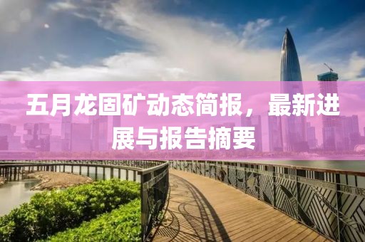 五月龍固礦動(dòng)態(tài)簡(jiǎn)報(bào)，最新進(jìn)展與報(bào)告摘要