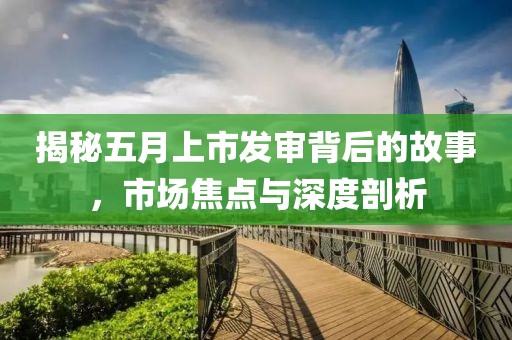 揭秘五月上市發(fā)審背后的故事，市場(chǎng)焦點(diǎn)與深度剖析