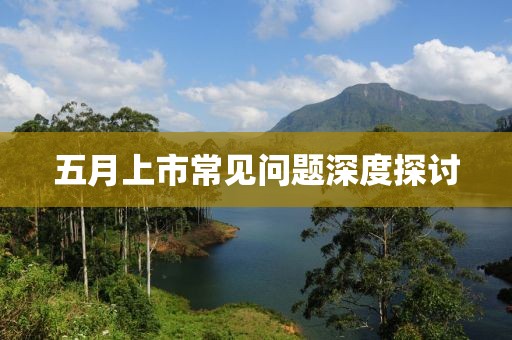 五月上市常見問題深度探討