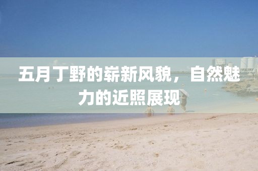 五月丁野的嶄新風(fēng)貌，自然魅力的近照展現(xiàn)