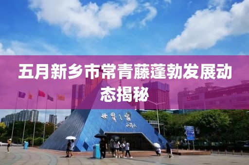 五月新鄉(xiāng)市常青藤蓬勃發(fā)展動(dòng)態(tài)揭秘