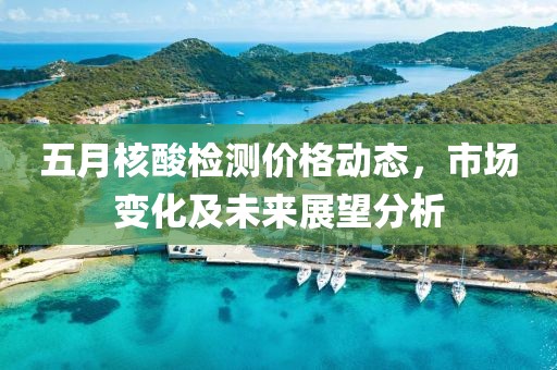 五月核酸檢測價(jià)格動態(tài)，市場變化及未來展望分析