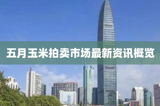 五月玉米拍賣市場最新資訊概覽
