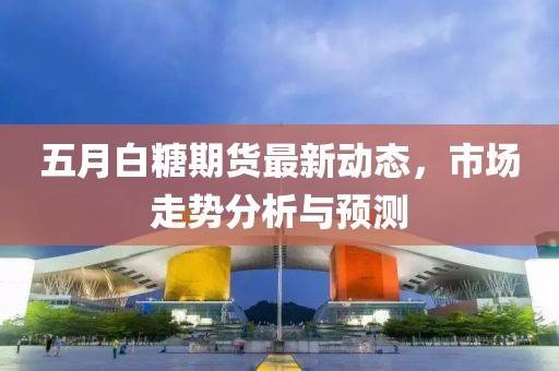 五月白糖期貨最新動態(tài)，市場走勢分析與預(yù)測