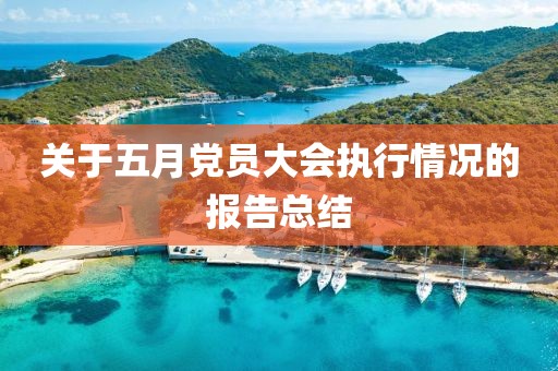 關(guān)于五月黨員大會(huì)執(zhí)行情況的報(bào)告總結(jié)