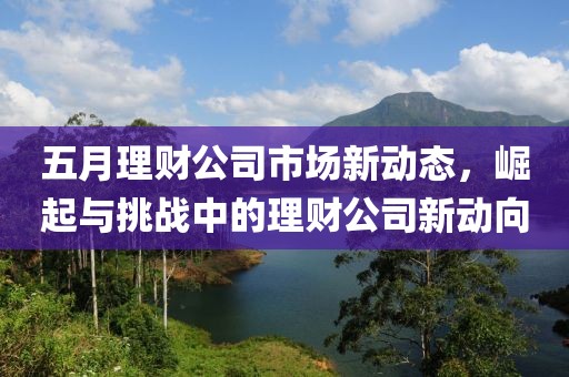 五月理財公司市場新動態(tài)，崛起與挑戰(zhàn)中的理財公司新動向