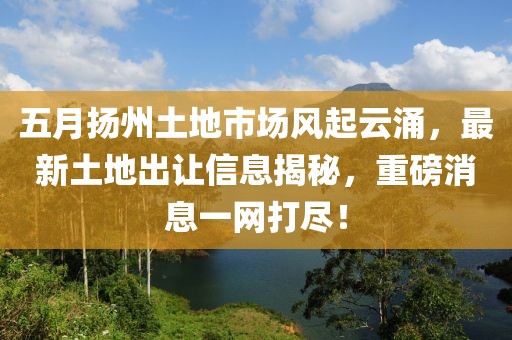 五月?lián)P州土地市場(chǎng)風(fēng)起云涌，最新土地出讓信息揭秘，重磅消息一網(wǎng)打盡！