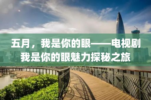 五月，我是你的眼——電視劇我是你的眼魅力探秘之旅