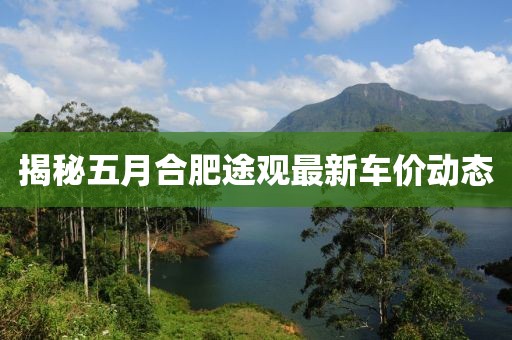 揭秘五月合肥途觀最新車價動態(tài)