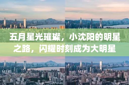 五月星光璀璨，小沈陽的明星之路，閃耀時刻成為大明星