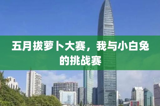 五月拔蘿卜大賽，我與小白兔的挑戰(zhàn)賽