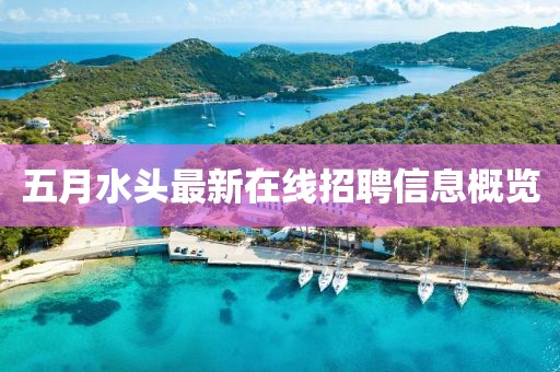五月水頭最新在線招聘信息概覽