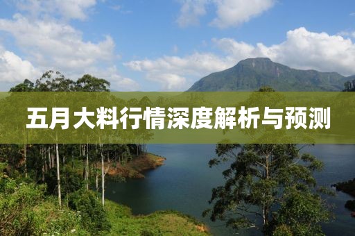 五月大料行情深度解析與預(yù)測(cè)