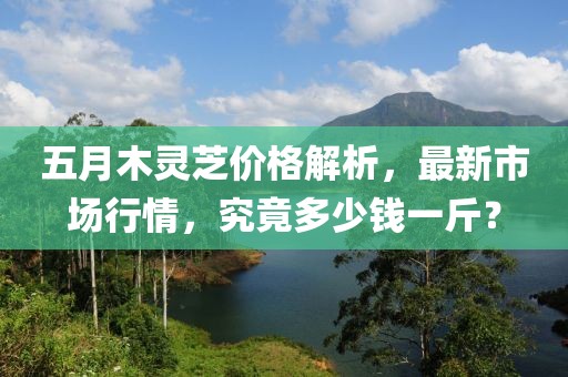 五月木靈芝價(jià)格解析，最新市場行情，究竟多少錢一斤？