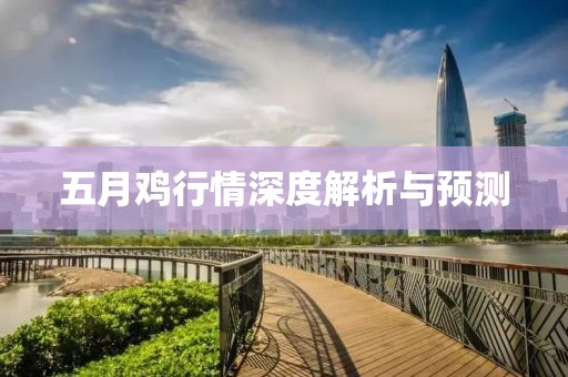 五月雞行情深度解析與預(yù)測