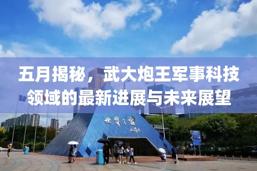 五月揭秘，武大炮王軍事科技領(lǐng)域的最新進(jìn)展與未來展望