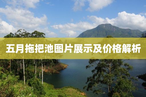 產(chǎn)品展示 第5頁