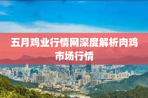 五月雞業(yè)行情網(wǎng)深度解析肉雞市場行情