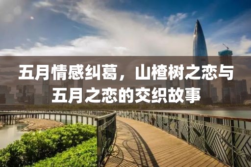 五月情感糾葛，山楂樹之戀與五月之戀的交織故事