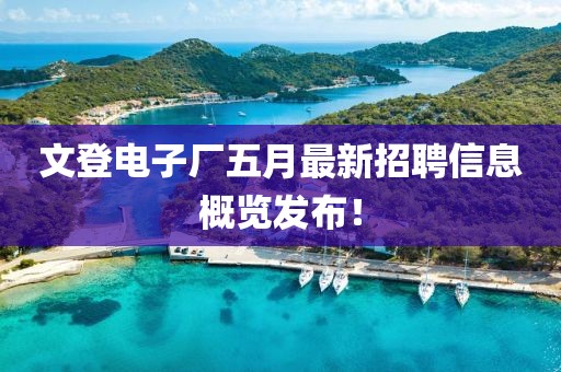 文登電子廠五月最新招聘信息概覽發(fā)布！