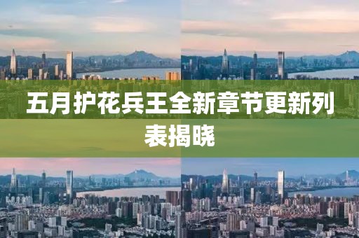 五月護花兵王全新章節(jié)更新列表揭曉