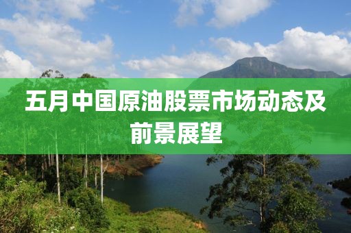 五月中國原油股票市場動態(tài)及前景展望