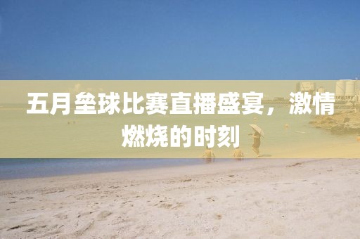 五月壘球比賽直播盛宴，激情燃燒的時刻