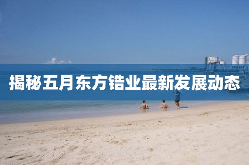 揭秘五月東方鋯業(yè)最新發(fā)展動(dòng)態(tài)