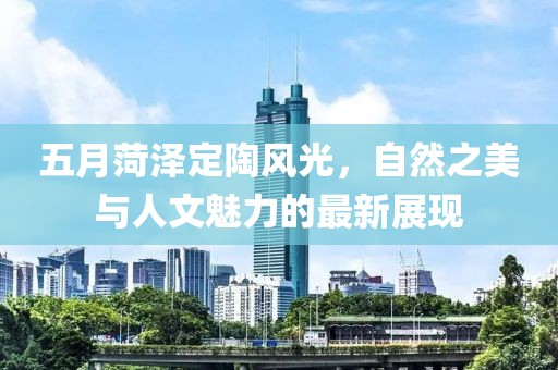 五月菏澤定陶風(fēng)光，自然之美與人文魅力的最新展現(xiàn)