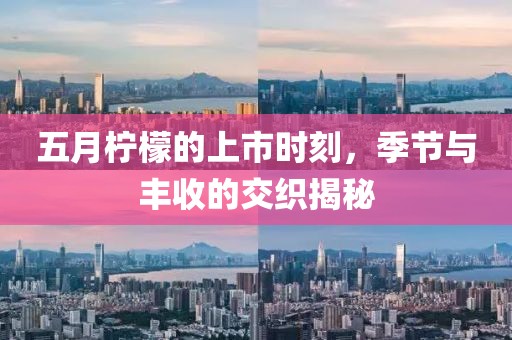 五月檸檬的上市時(shí)刻，季節(jié)與豐收的交織揭秘