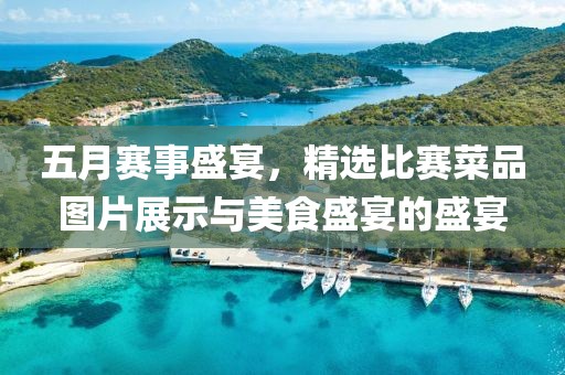 五月賽事盛宴，精選比賽菜品圖片展示與美食盛宴的盛宴