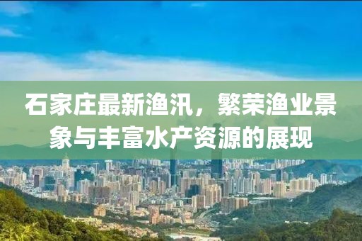 石家莊最新漁汛，繁榮漁業(yè)景象與豐富水產(chǎn)資源的展現(xiàn)