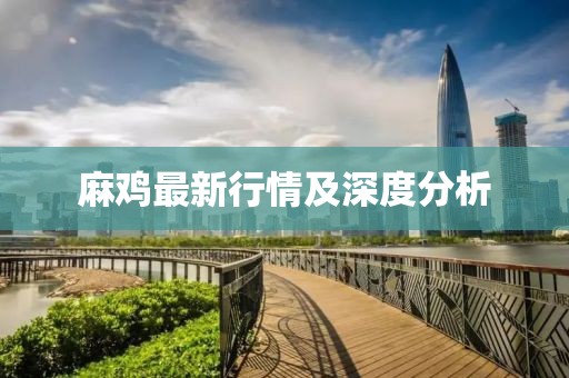 麻雞最新行情及深度分析
