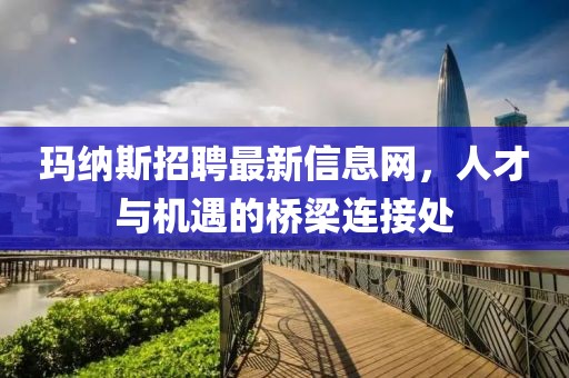 瑪納斯招聘最新信息網(wǎng)，人才與機(jī)遇的橋梁連接處
