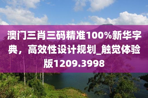澳門三肖三碼精準(zhǔn)100%新華字典，高效性設(shè)計(jì)規(guī)劃_觸覺體驗(yàn)版1209.3998