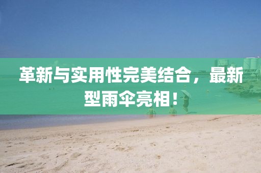 革新與實用性完美結(jié)合，最新型雨傘亮相！