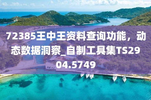72385王中王資料查詢功能，動態(tài)數(shù)據(jù)洞察_自制工具集TS2904.5749