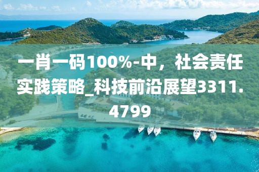一肖一碼100%-中，社會(huì)責(zé)任實(shí)踐策略_科技前沿展望3311.4799