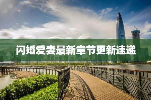 閃婚愛妻最新章節(jié)更新速遞