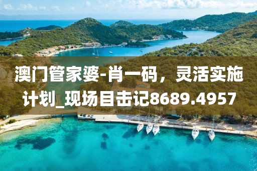 澳門(mén)管家婆-肖一碼，靈活實(shí)施計(jì)劃_現(xiàn)場(chǎng)目擊記8689.4957