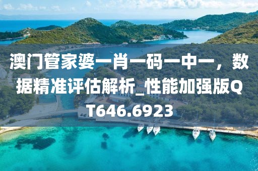 澳門管家婆一肖一碼一中一，數(shù)據(jù)精準(zhǔn)評(píng)估解析_性能加強(qiáng)版QT646.6923