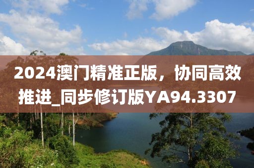 2024澳門精準正版，協(xié)同高效推進_同步修訂版YA94.3307